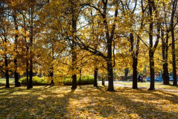 The Finnish Way of Cultural Heritage Education