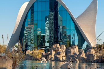 Experiential Learning in Valencia: City, Nature, and Innovation