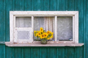 Design the Positive: Positive Thinking, Positive Communication and Positive School Spaces