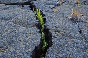 Resilience and Well-being Strengths for Teachers